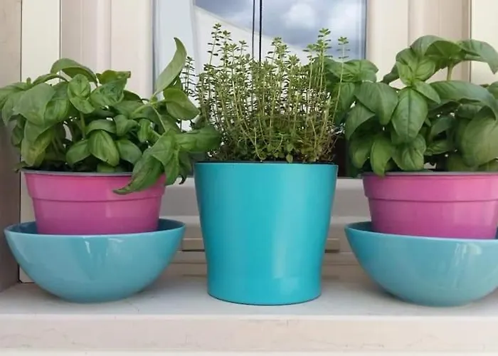 B&B Amedeo Di Savoia * Veglie