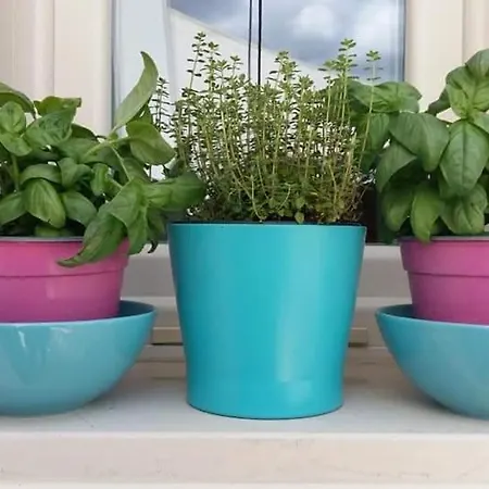 B&B Amedeo Di Savoia * Велье