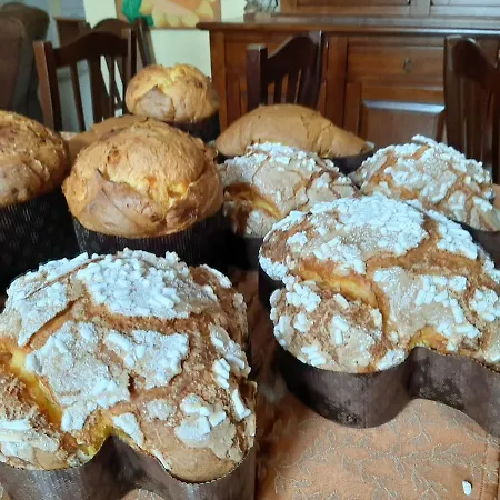 B&B Amedeo Di Savoia Bed & Breakfast